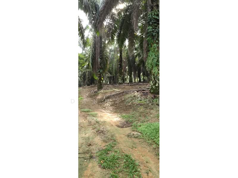 Tanah Pertanian untuk Dijual di Senai (Kulai) - Danny See - Exterior - PropertyGuru.com.my