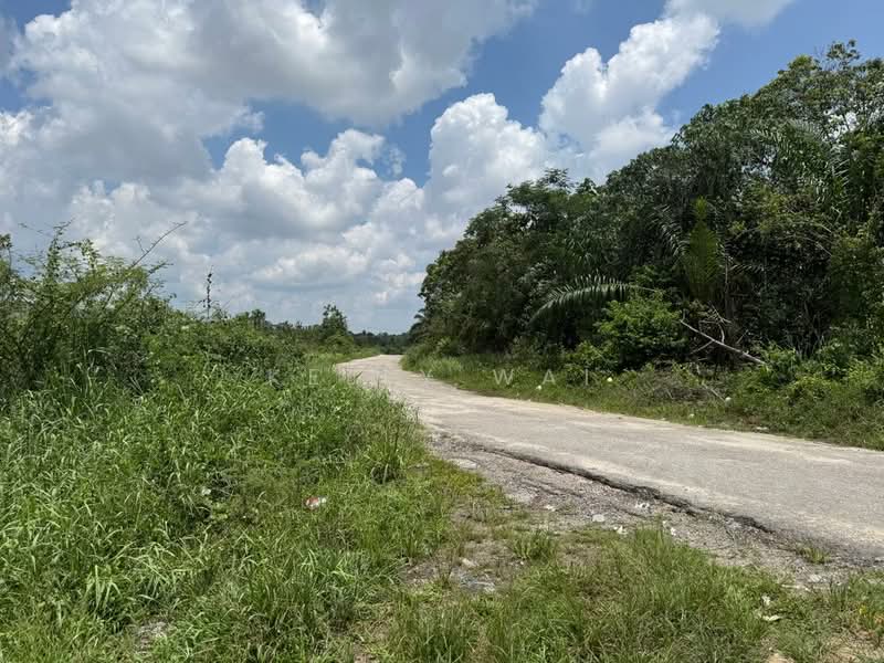 Agricultural Land for Sale in Sungai Tiram (Ulu Tiram) - Kelly Wai - Exterior - PropertyGuru.com.my
