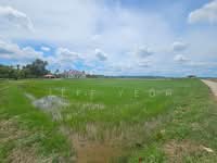 For Sale - Langgar, Land For Sale ( Facing Road )