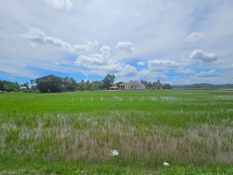 Agricultural Land for Sale in Langgar (Kedah) - Jeff Yeoh - Exterior - PropertyGuru.com.my