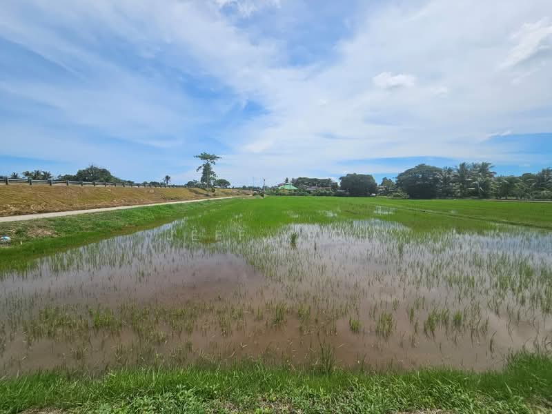 Agricultural Land for Sale in Langgar (Kedah) - Jeff Yeoh - Exterior - PropertyGuru.com.my
