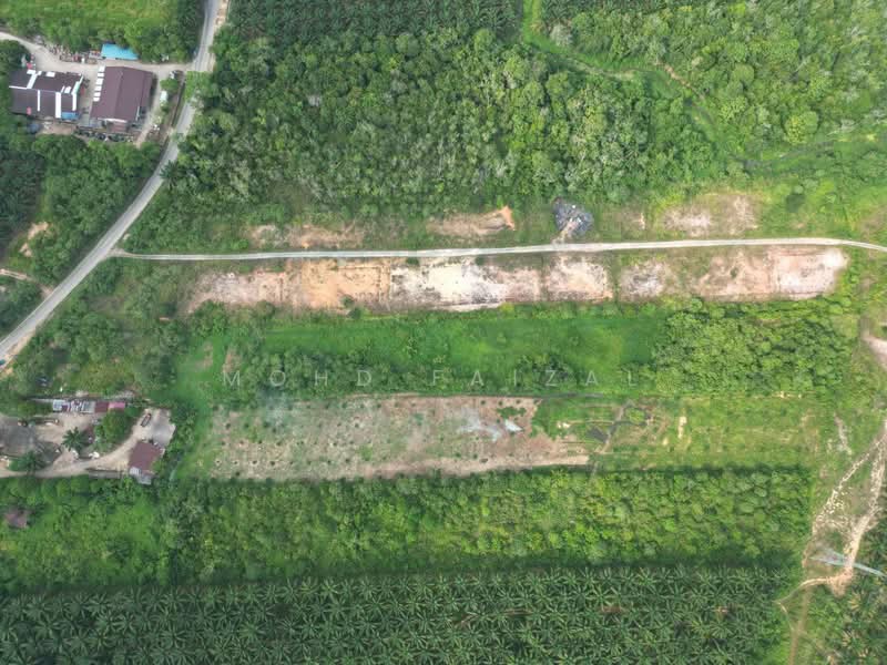 Tanah Kediaman untuk Dijual di Jerantut (Pahang) - Mohd Faizal - Exterior - PropertyGuru.com.my