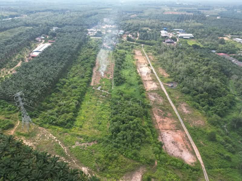 Tanah Kediaman untuk Dijual di Jerantut (Pahang) - Mohd Faizal - Exterior - PropertyGuru.com.my