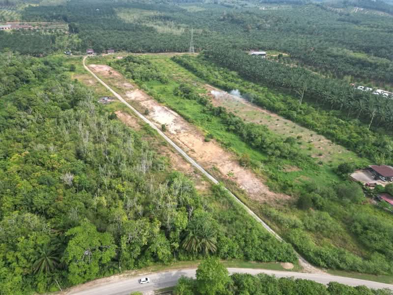 Tanah Kediaman untuk Dijual di Jerantut (Pahang) - Mohd Faizal - Exterior - PropertyGuru.com.my