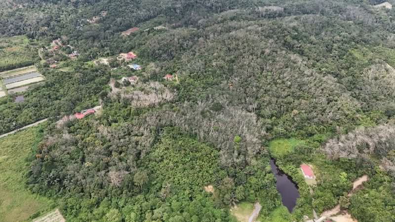 Agricultural Land for Sale in Kuala Pilah (Negeri Sembilan) - Mohd Faizal - Exterior - PropertyGuru.com.my