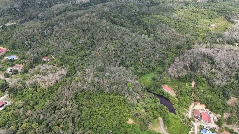 Agricultural Land for Sale in Kuala Pilah (Negeri Sembilan) - Mohd Faizal - Exterior - PropertyGuru.com.my