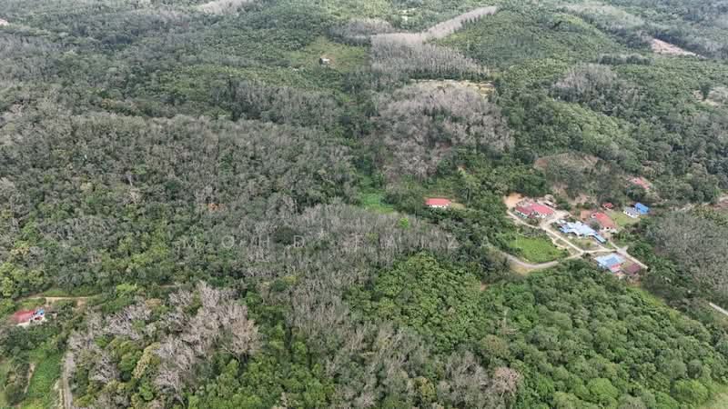 Agricultural Land for Sale in Kuala Pilah (Negeri Sembilan) - Mohd Faizal - Exterior - PropertyGuru.com.my