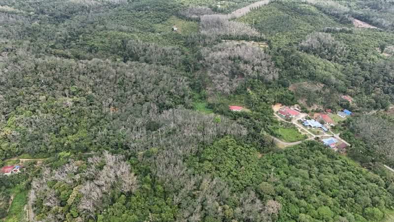 Agricultural Land for Sale in Kuala Pilah (Negeri Sembilan) - Mohd Faizal - Exterior - PropertyGuru.com.my
