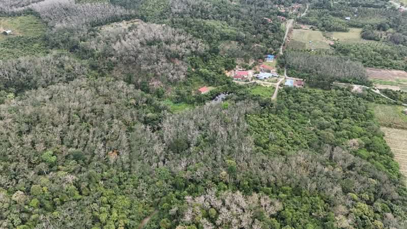Agricultural Land for Sale in Kuala Pilah (Negeri Sembilan) - Mohd Faizal - Exterior - PropertyGuru.com.my
