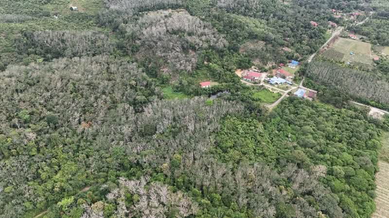 Agricultural Land for Sale in Kuala Pilah (Negeri Sembilan) - Mohd Faizal - Exterior - PropertyGuru.com.my