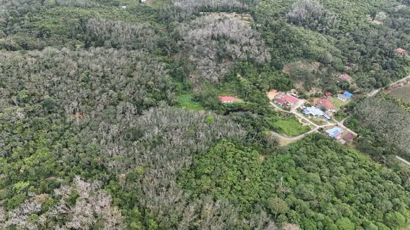 Agricultural Land for Sale in Kuala Pilah (Negeri Sembilan) - Mohd Faizal - Exterior - PropertyGuru.com.my
