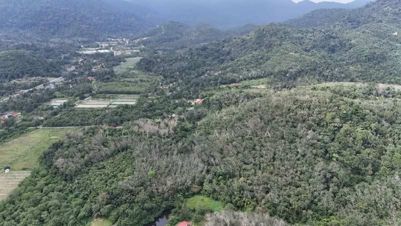 Agricultural Land for Sale in Kuala Pilah (Negeri Sembilan) - Mohd Faizal - Exterior - PropertyGuru.com.my