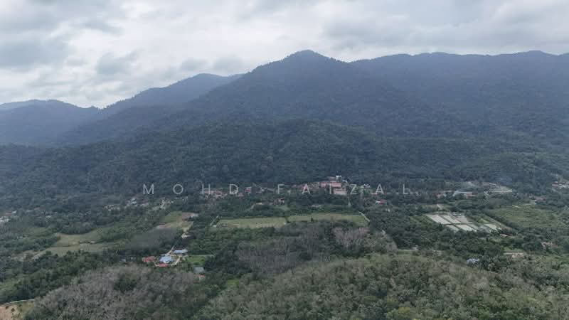 Agricultural Land for Sale in Kuala Pilah (Negeri Sembilan) - Mohd Faizal - Exterior - PropertyGuru.com.my