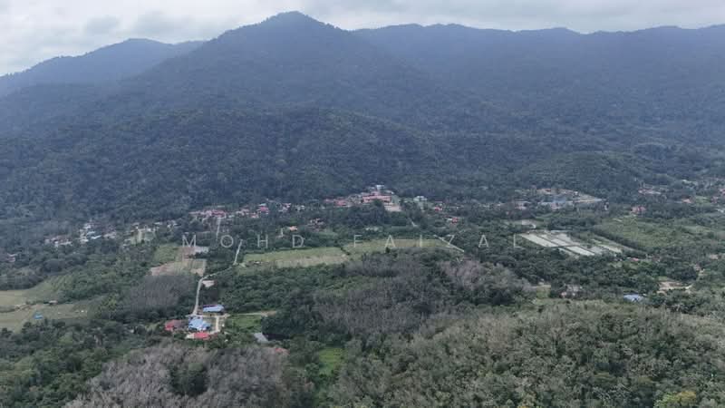 Agricultural Land for Sale in Kuala Pilah (Negeri Sembilan) - Mohd Faizal - PropertyGuru.com.my