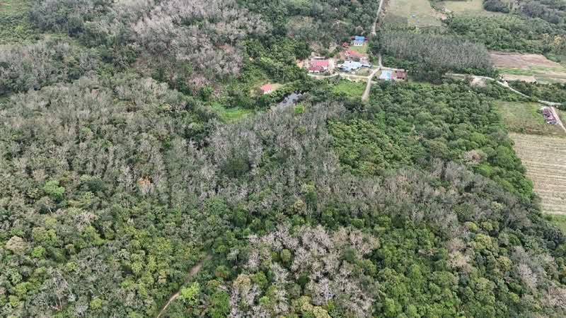 Agricultural Land for Sale in Kuala Pilah (Negeri Sembilan) - Mohd Faizal - Exterior - PropertyGuru.com.my