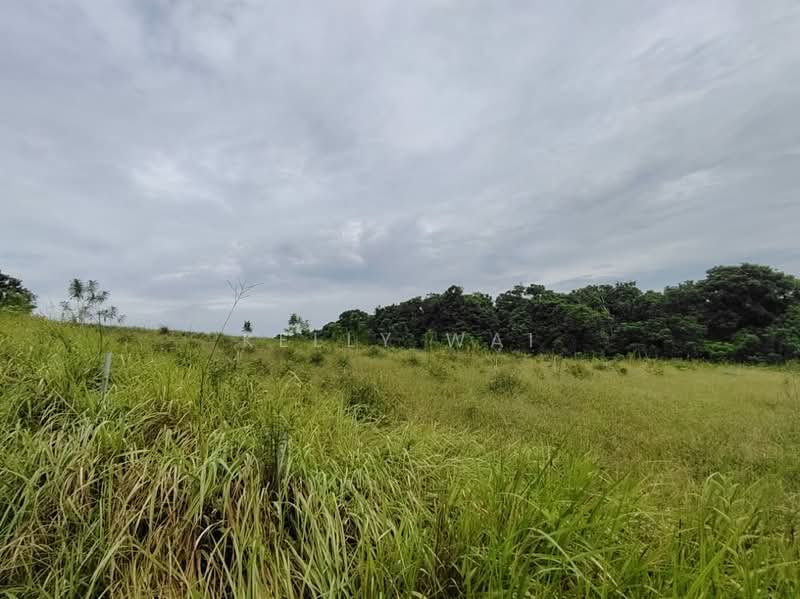 Agricultural Land for Sale in Kempas (Johor Bahru) - Kelly Wai - Exterior - PropertyGuru.com.my
