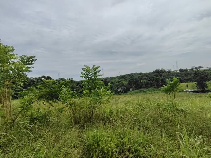 Agricultural Land for Sale in Kempas (Johor Bahru) - Kelly Wai - Exterior - PropertyGuru.com.my
