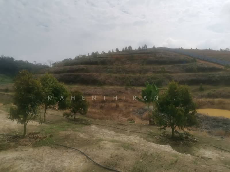 Agricultural Land for Sale in Karak (Pahang) - Mahenthiran . - PropertyGuru.com.my