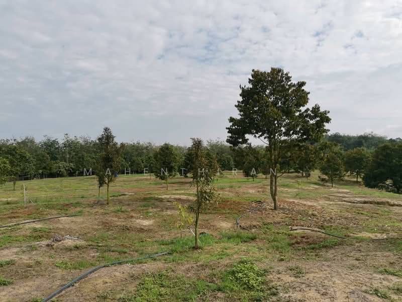 Agricultural Land for Sale in Karak (Pahang) - Mahenthiran . - PropertyGuru.com.my