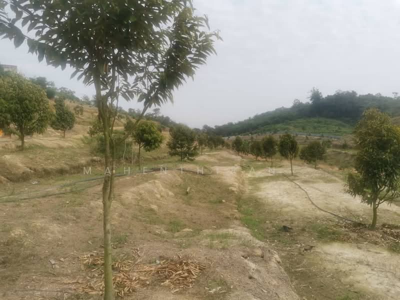 Agricultural Land for Sale in Karak (Pahang) - Mahenthiran . - PropertyGuru.com.my