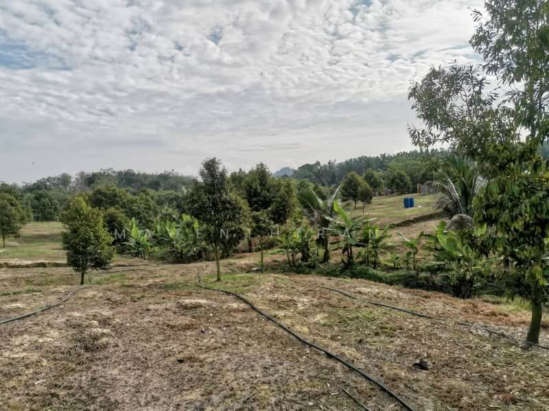 Agricultural Land for Sale in Karak (Pahang) - Mahenthiran . - PropertyGuru.com.my
