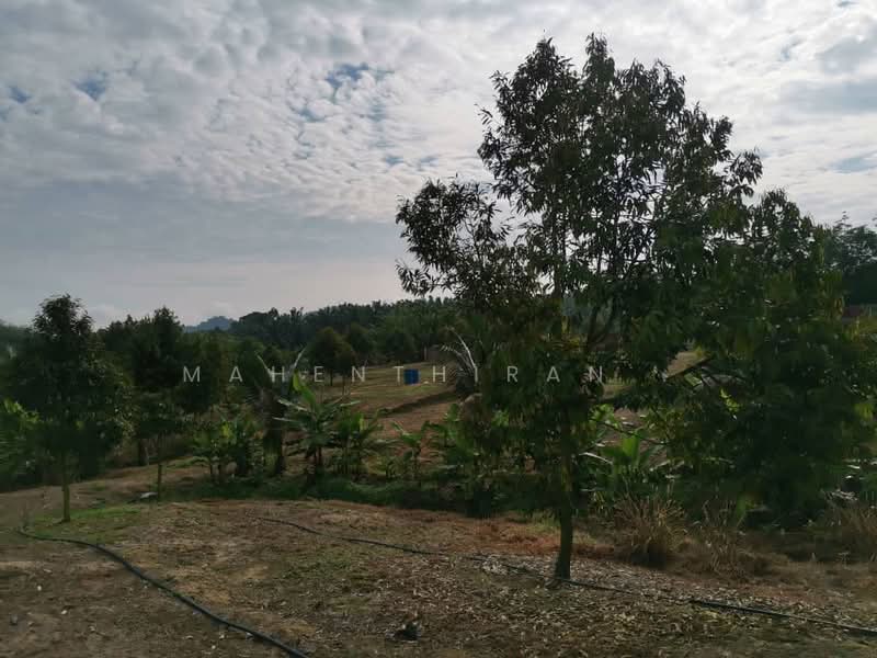Agricultural Land for Sale in Karak (Pahang) - Mahenthiran . - PropertyGuru.com.my