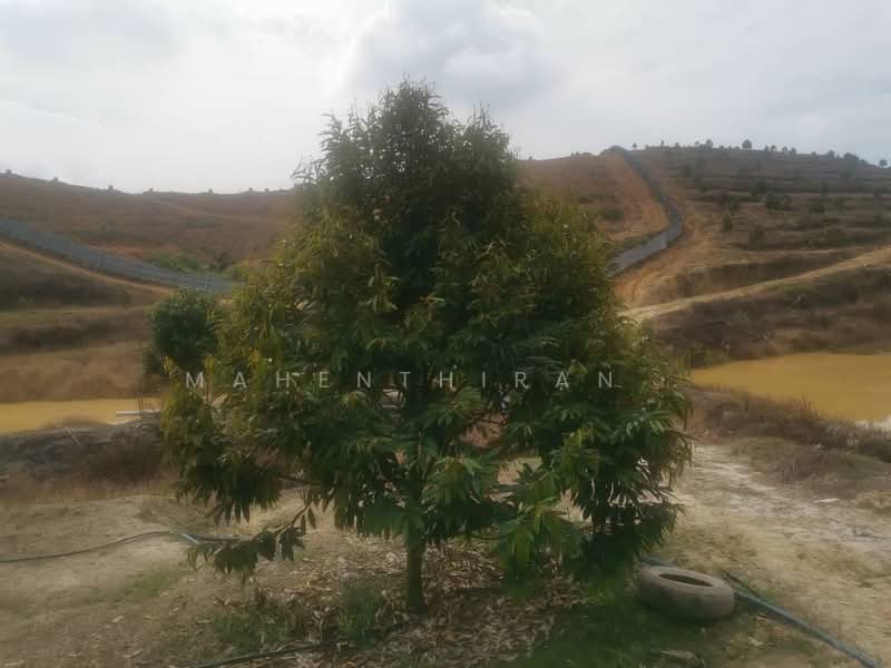 Agricultural Land for Sale in Karak (Pahang) - Mahenthiran . - PropertyGuru.com.my