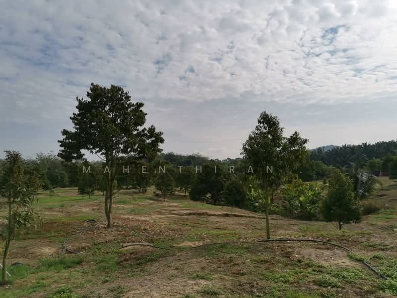 Agricultural Land for Sale in Karak (Pahang) - Mahenthiran . - PropertyGuru.com.my