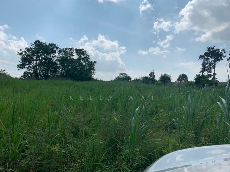 Agricultural Land for Sale in Sungai Tiram (Ulu Tiram) - Kelly Wai - Exterior - PropertyGuru.com.my