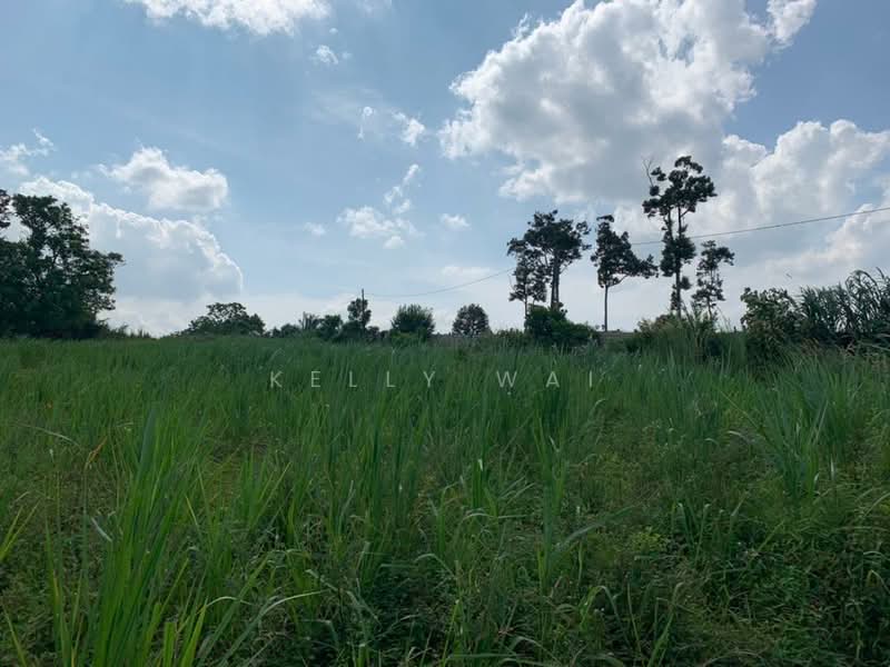 Agricultural Land for Sale in Sungai Tiram (Ulu Tiram) - Kelly Wai - Exterior - PropertyGuru.com.my