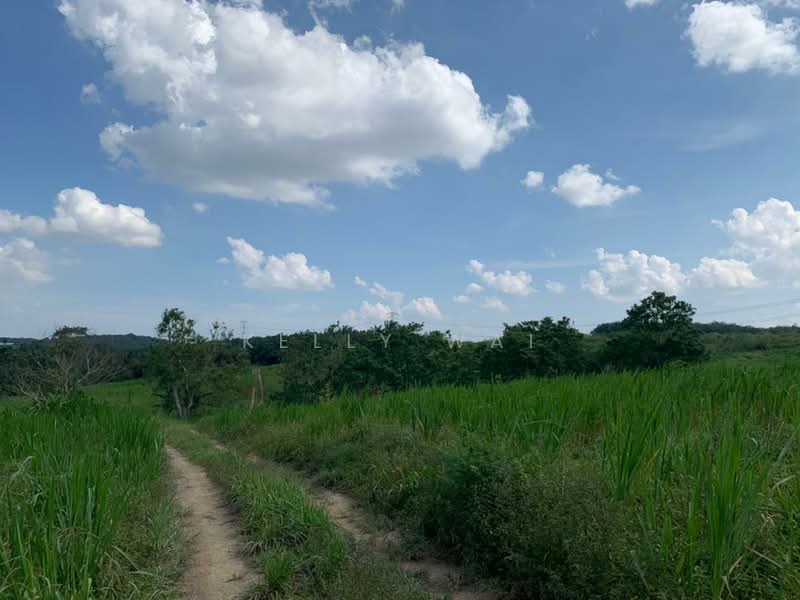 Agricultural Land for Sale in Sungai Tiram (Ulu Tiram) - Kelly Wai - Exterior - PropertyGuru.com.my