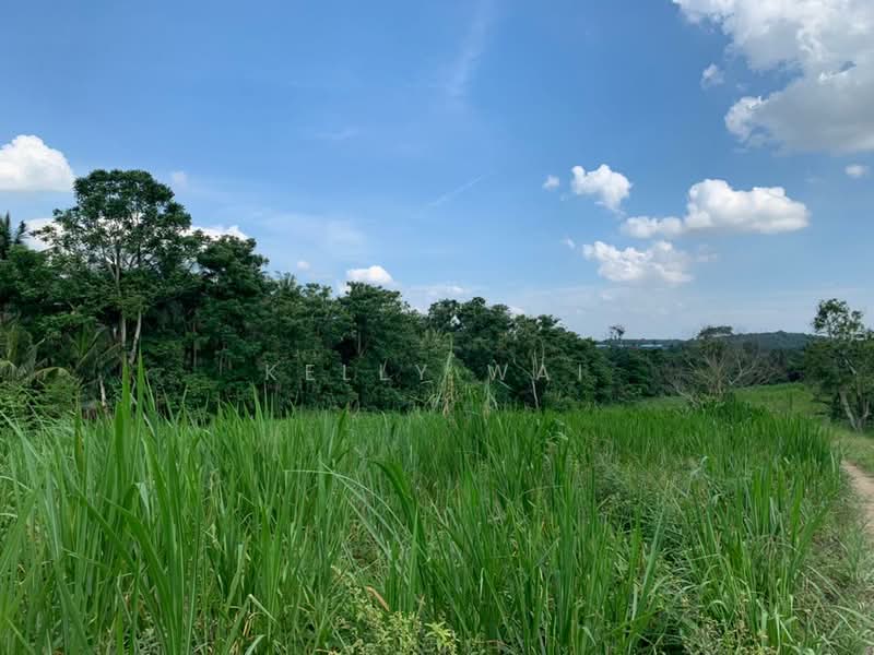 Agricultural Land for Sale in Sungai Tiram (Ulu Tiram) - Kelly Wai - Exterior - PropertyGuru.com.my