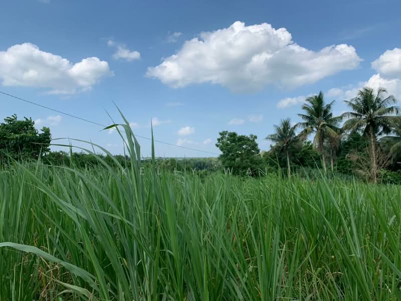 Agricultural Land for Sale in Sungai Tiram (Ulu Tiram) - Kelly Wai - Exterior - PropertyGuru.com.my