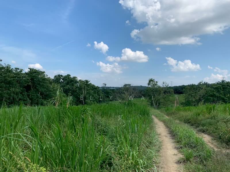 Agricultural Land for Sale in Sungai Tiram (Ulu Tiram) - Kelly Wai - Exterior - PropertyGuru.com.my