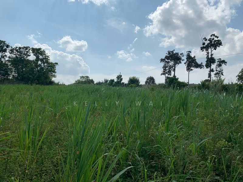 Agricultural Land for Sale in Sungai Tiram (Ulu Tiram) - Kelly Wai - Exterior - PropertyGuru.com.my