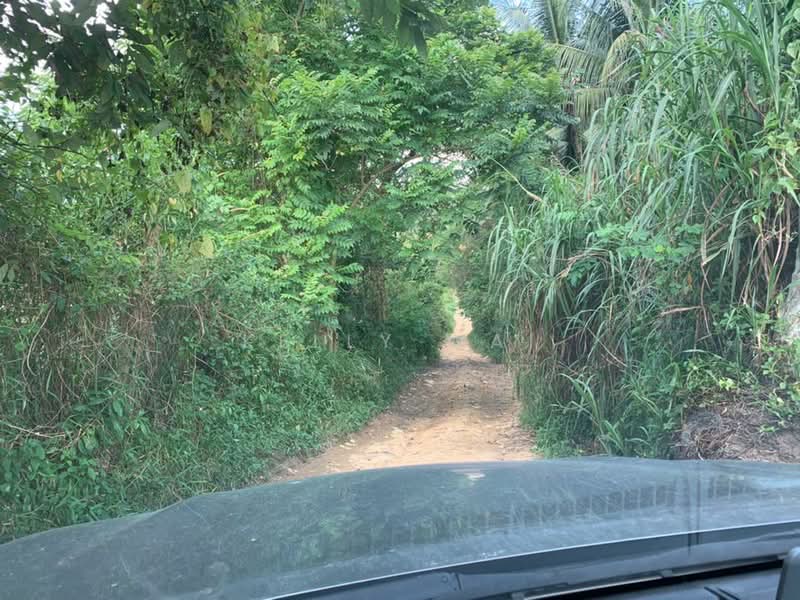 Agricultural Land for Sale in Sungai Tiram (Ulu Tiram) - Kelly Wai - Exterior - PropertyGuru.com.my