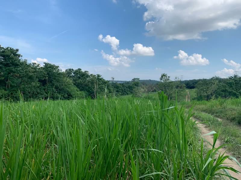 Agricultural Land for Sale in Sungai Tiram (Ulu Tiram) - Kelly Wai - Exterior - PropertyGuru.com.my