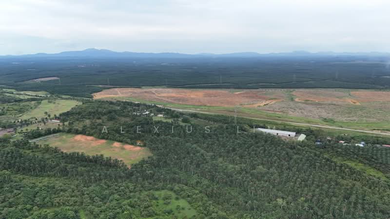 Agricultural Land for Sale in Sedenak (Johor) - Alexius Lim - Exterior - PropertyGuru.com.my