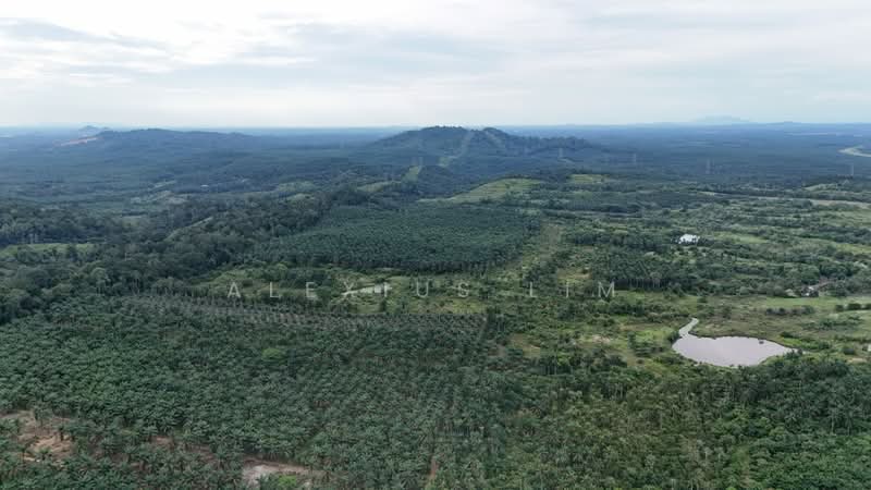 Agricultural Land for Sale in Sedenak (Johor) - Alexius Lim - Exterior - PropertyGuru.com.my
