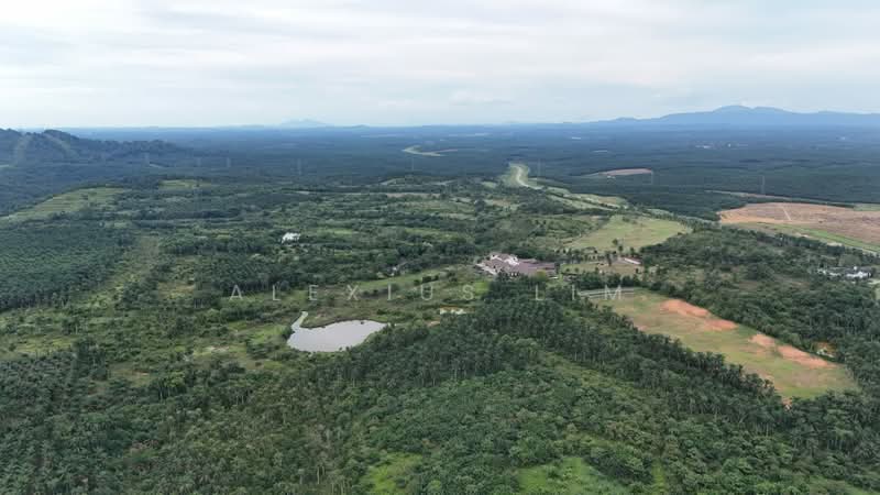 Agricultural Land for Sale in Sedenak (Johor) - Alexius Lim - Exterior - PropertyGuru.com.my