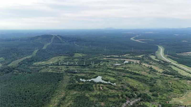 Agricultural Land for Sale in Sedenak (Johor) - Alexius Lim - Exterior - PropertyGuru.com.my