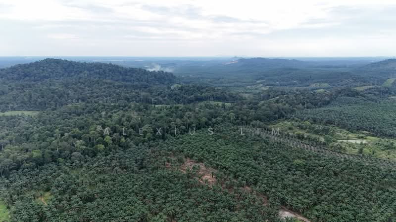 Agricultural Land for Sale in Sedenak (Johor) - Alexius Lim - Exterior - PropertyGuru.com.my