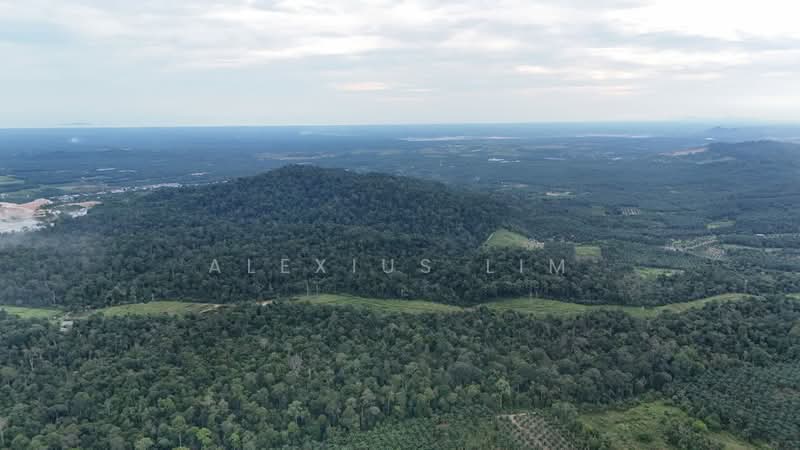 Agricultural Land for Sale in Sedenak (Johor) - Alexius Lim - Exterior - PropertyGuru.com.my