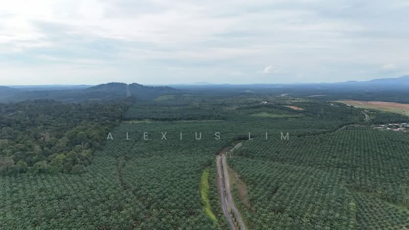 Agricultural Land for Sale in Sedenak (Johor) - Alexius Lim - PropertyGuru.com.my