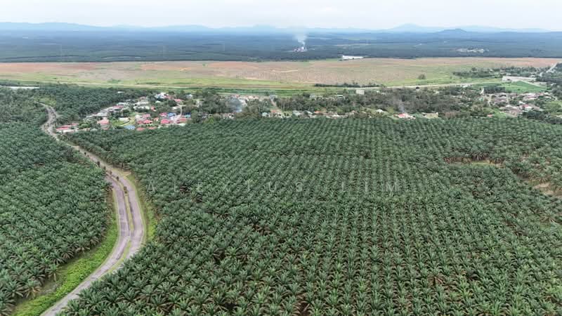 Agricultural Land for Sale in Sedenak (Johor) - Alexius Lim - PropertyGuru.com.my