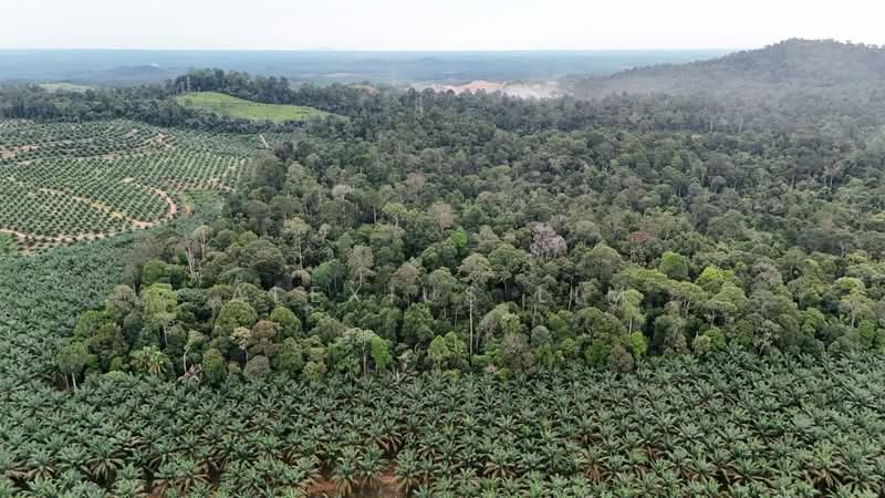Agricultural Land for Sale in Sedenak (Johor) - Alexius Lim - PropertyGuru.com.my