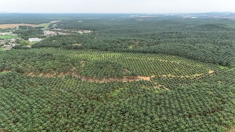Agricultural Land for Sale in Sedenak (Johor) - Alexius Lim - PropertyGuru.com.my