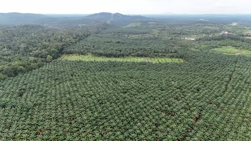 Agricultural Land for Sale in Sedenak (Johor) - Alexius Lim - PropertyGuru.com.my
