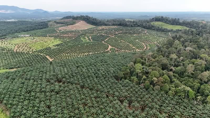 Agricultural Land for Sale in Sedenak (Johor) - Alexius Lim - PropertyGuru.com.my