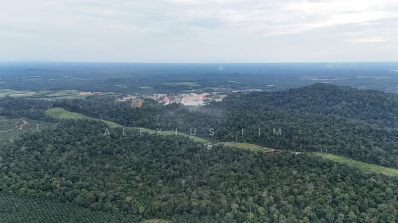 Agricultural Land for Sale in Sedenak (Johor) - Alexius Lim - PropertyGuru.com.my